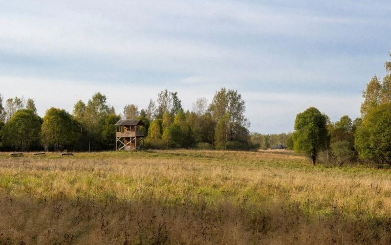Охотничье хозяйство