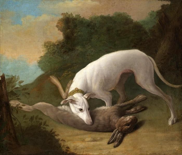 Иоганн Фридрих Гроот. «Борзая за игрой». 1755 год